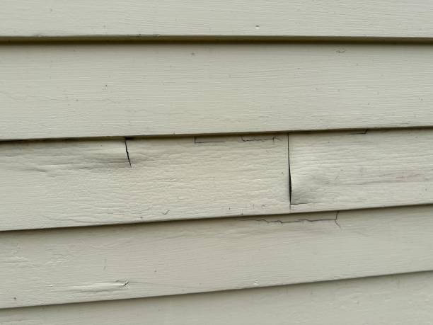 Best Steel Siding Installation  in Malaga, NJ